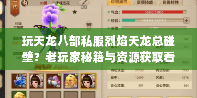 玩天龙八部私服烈焰天龙总碰壁？老玩家秘籍与资源获取看这！