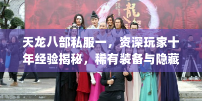 天龙八部私服一，资深玩家十年经验揭秘，稀有装备与隐藏副本终极指南