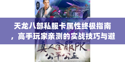 天龙八部私服卡属性终极指南，高手玩家亲测的实战技巧与避坑法则