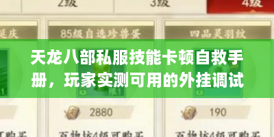 天龙八部私服技能卡顿自救手册，玩家实测可用的外挂调试技巧