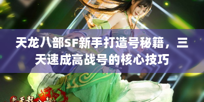 天龙八部SF新手打造号秘籍，三天速成高战号的核心技巧