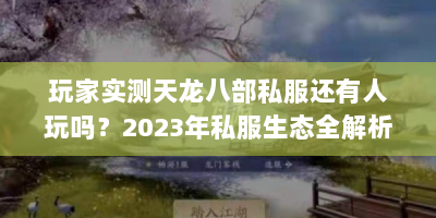 玩家实测天龙八部私服还有人玩吗？2023年私服生态全解析