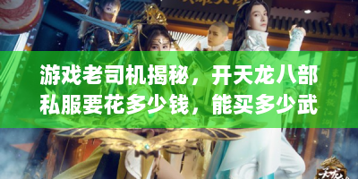游戏老司机揭秘，开天龙八部私服要花多少钱，能买多少武林秘籍？