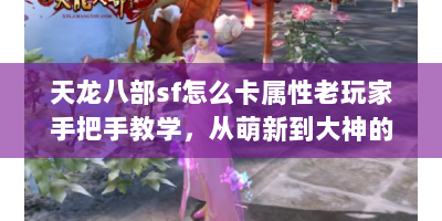 天龙八部sf怎么卡属性老玩家手把手教学，从萌新到大神的属性操控秘籍