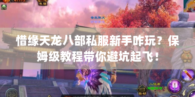 惜缘天龙八部私服新手咋玩？保姆级教程带你避坑起飞！
