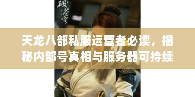 天龙八部私服运营者必读，揭秘内部号真相与服务器可持续盈利方案