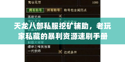 天龙八部私服挖矿辅助，老玩家私藏的暴利资源速刷手册