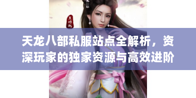 天龙八部私服站点全解析，资深玩家的独家资源与高效进阶指南