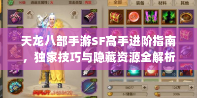 天龙八部手游SF高手进阶指南，独家技巧与隐藏资源全解析