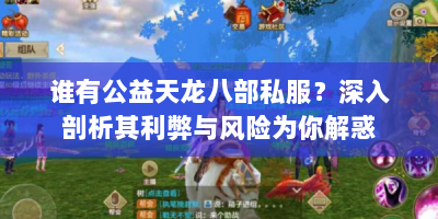 谁有公益天龙八部私服？深入剖析其利弊与风险为你解惑