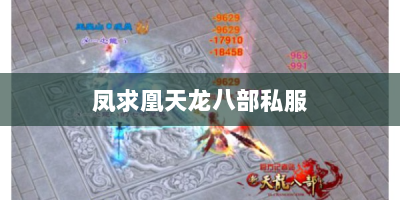 凤求凰天龙八部私服