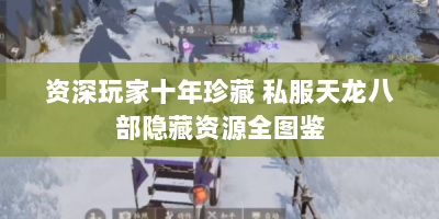 资深玩家十年珍藏 私服天龙八部隐藏资源全图鉴