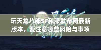 玩天龙八部SF私服发布网最新版本，要注意哪些风险与事项？