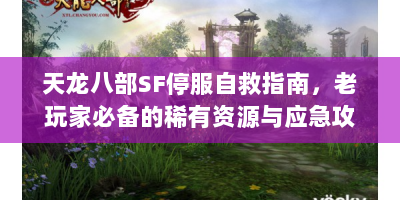 天龙八部SF停服自救指南，老玩家必备的稀有资源与应急攻略