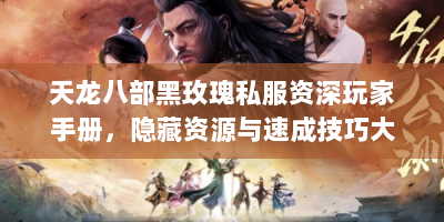 天龙八部黑玫瑰私服资深玩家手册，隐藏资源与速成技巧大揭秘