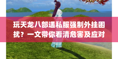 玩天龙八部遇私服强制外挂困扰？一文带你看清危害及应对之策