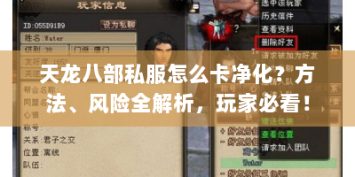 天龙八部私服怎么卡净化？方法、风险全解析，玩家必看！