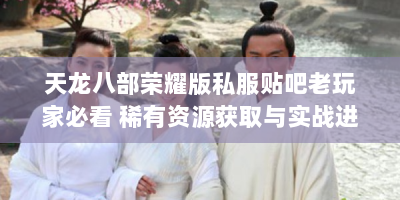 天龙八部荣耀版私服贴吧老玩家必看 稀有资源获取与实战进阶指南