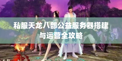 私服天龙八部公益服务器搭建与运营全攻略