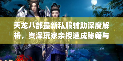天龙八部最新私服辅助深度解析，资深玩家亲授速成秘籍与避坑指南