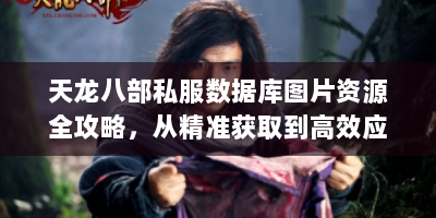 天龙八部私服数据库图片资源全攻略，从精准获取到高效应用的进阶指南
