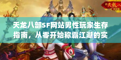 天龙八部SF网站男性玩家生存指南，从零开始称霸江湖的实战技巧