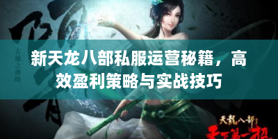 新天龙八部私服运营秘籍，高效盈利策略与实战技巧