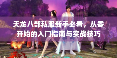 天龙八部私服新手必看，从零开始的入门指南与实战技巧
