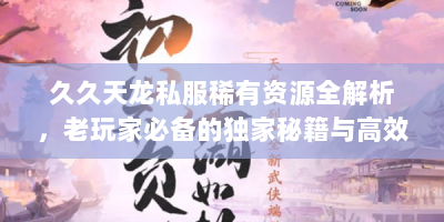 久久天龙私服稀有资源全解析，老玩家必备的独家秘籍与高效攻略
