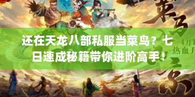 还在天龙八部私服当菜鸟？七日速成秘籍带你进阶高手！