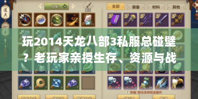 玩2014天龙八部3私服总碰壁？老玩家亲授生存、资源与战力秘籍！