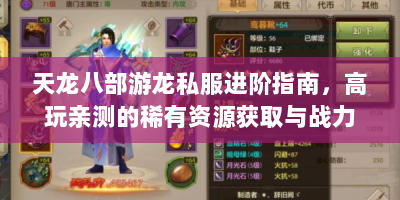 天龙八部游龙私服进阶指南，高玩亲测的稀有资源获取与战力速升技巧