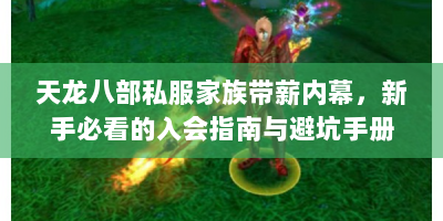 天龙八部私服家族带薪内幕，新手必看的入会指南与避坑手册