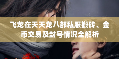飞龙在天天龙八部私服搬砖、金币交易及封号情况全解析