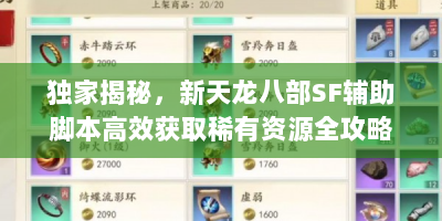 独家揭秘，新天龙八部SF辅助脚本高效获取稀有资源全攻略