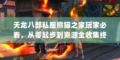天龙八部私服熊猫之家玩家必看，从零起步到资源全收集终极手册