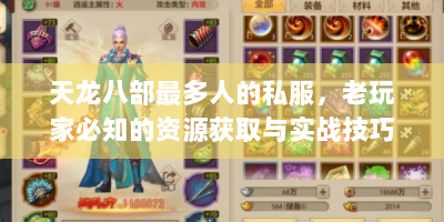 天龙八部最多人的私服，老玩家必知的资源获取与实战技巧
