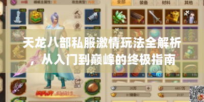 天龙八部私服激情玩法全解析，从入门到巅峰的终极指南