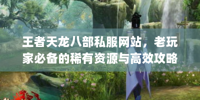 王者天龙八部私服网站，老玩家必备的稀有资源与高效攻略指南在哪？