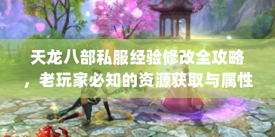 天龙八部私服经验修改全攻略，老玩家必知的资源获取与属性突破技巧