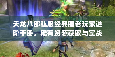 天龙八部私服经典服老玩家进阶手册，稀有资源获取与实战技巧全解析