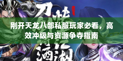 刚开天龙八部私服玩家必看，高效冲级与资源争夺指南