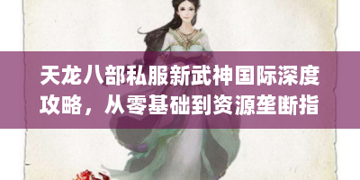 天龙八部私服新武神国际深度攻略，从零基础到资源垄断指南