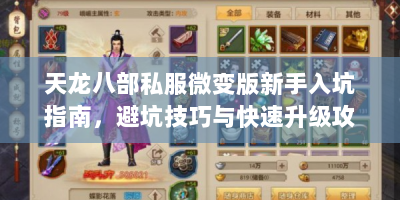 天龙八部私服微变版新手入坑指南，避坑技巧与快速升级攻略