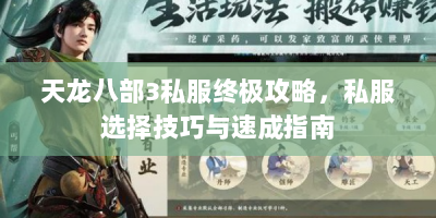天龙八部3私服终极攻略，私服选择技巧与速成指南
