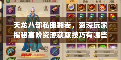 天龙八部私服翻卷，资深玩家揭秘高阶资源获取技巧有哪些？