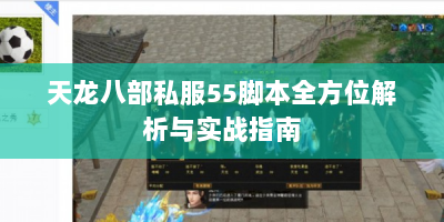 天龙八部私服55脚本全方位解析与实战指南