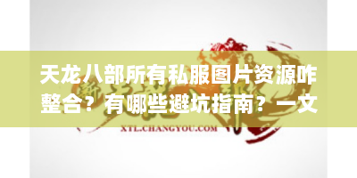 天龙八部所有私服图片资源咋整合？有哪些避坑指南？一文解答