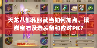 天龙八部私服武当如何加点、镶嵌宝石及选装备和应对PK？
