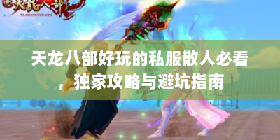 天龙八部好玩的私服散人必看，独家攻略与避坑指南